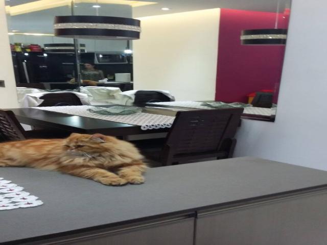 Apartamento para Venda em Barueri - 5